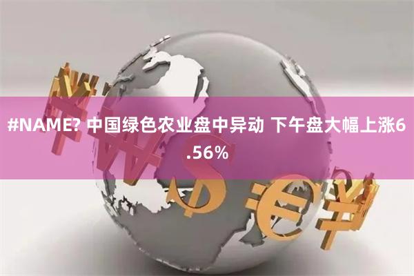 #NAME? 中国绿色农业盘中异动 下午盘大幅上涨6.56%