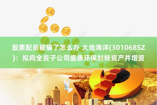 股票配资被骗了怎么办 大地海洋(301068SZ)：拟向全资子公司盛唐环保划转资产并增资
