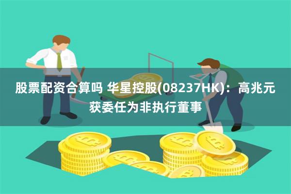 股票配资合算吗 华星控股(08237HK)：高兆元获委任为非执行董事