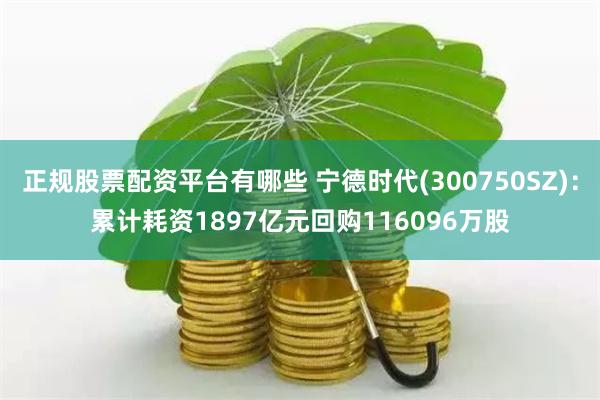 正规股票配资平台有哪些 宁德时代(300750SZ)：累计耗资1897亿元回购116096万股