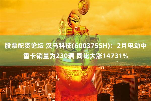 股票配资论坛 汉马科技(600375SH)：2月电动中重卡销量为230辆 同比大涨14731%