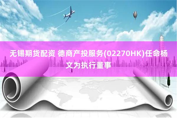 无锡期货配资 德商产投服务(02270HK)任命杨文为执行董事