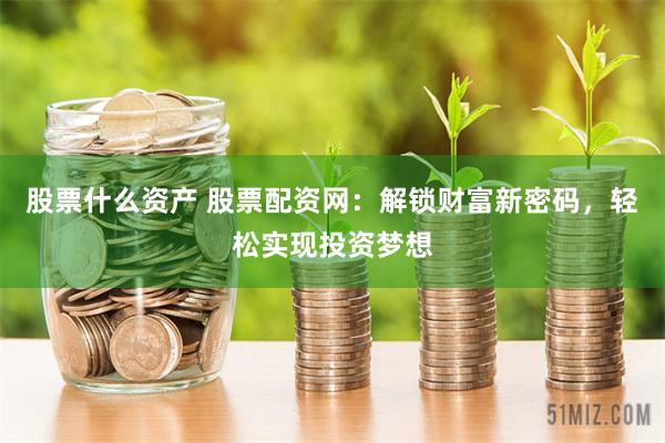 股票什么资产 股票配资网：解锁财富新密码，轻松实现投资梦想